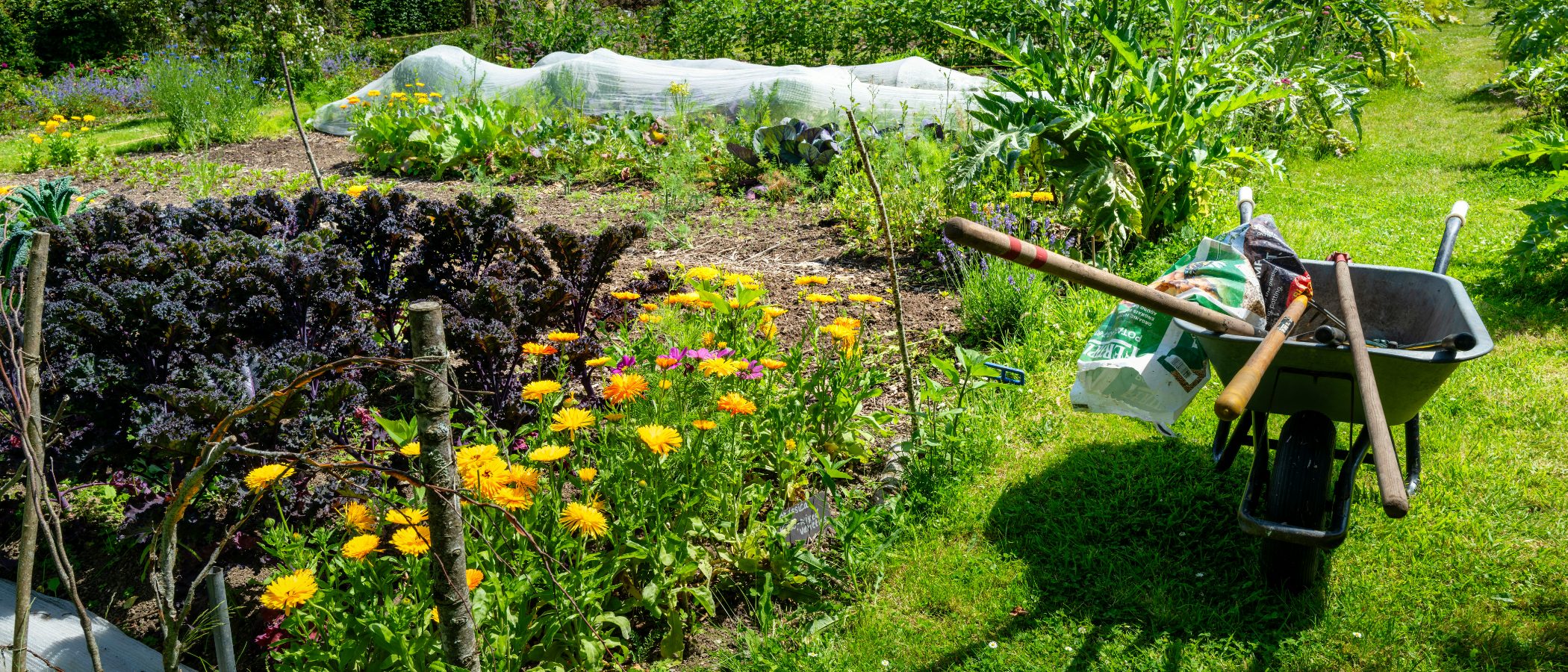 Unsere Gartenanlage